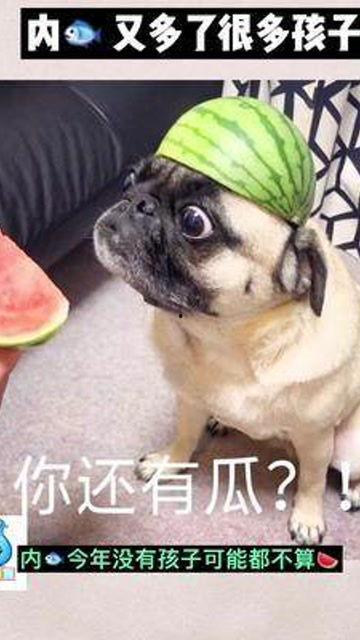 娱乐是个圈吃瓜群众散,吃瓜群众散生记