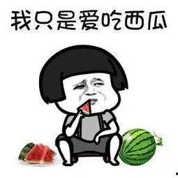 娱乐吃瓜酱专属梗是什么