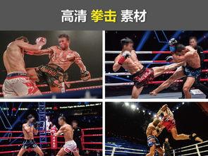 拳击背景的mv,拳击主题音乐视频的激情演绎